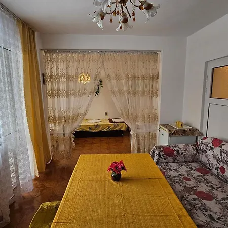 дом павлови *